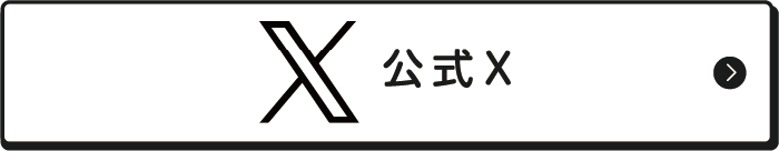 公式X