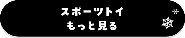 スポーツトイもっと見る