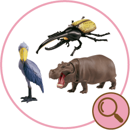 アニア AS単品各種